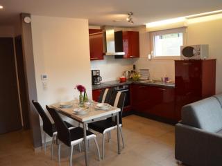 Gîte familial tout confort à Altkirch - Terrasse, jardin, parking, proche pistes cyclables et randos - FR-1-744-5 - Altkirch - 1