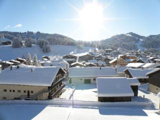 Studio cosy, proche centre, 3 étoiles, Wi-Fi, parking privé, accès skis et VTT, à 350m des télécabines - FR-1-671-113 - Les Gets - 7