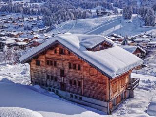 Studio cosy, proche centre, 3 étoiles, Wi-Fi, parking privé, accès skis et VTT, à 350m des télécabines - FR-1-671-113 - Les Gets - 4