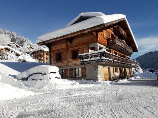 Studio cosy, proche centre, 3 étoiles, Wi-Fi, parking privé, accès skis et VTT, à 350m des télécabines - FR-1-671-113 - Les Gets - 3