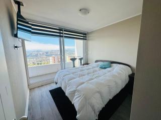 Departamento Gregorio Marañón, Viña del mar - Viña del Mar - 9