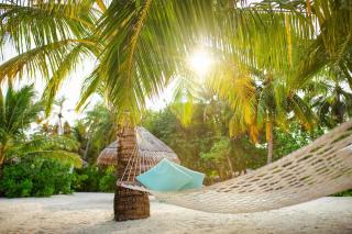VOLUNTARY & Camping - Cozumel - 2