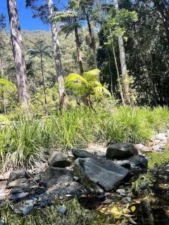 Oasis of Hope - Guest Wing - Upper Orara - 8