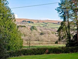 Lower Hameldown-Uk12424 - Widecombe in the Moor - 2