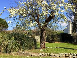 Tremaer - Poughill - 9