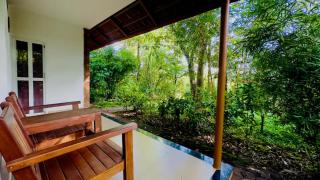 Thennal Junglecamp - Wayanad - 2