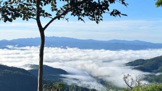 อาข่าภูมา-Akha Phuma - - 4