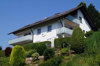 Haus Irmgard - Zell am Harmersbach - 9