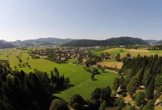 Haus Irmgard - Zell am Harmersbach - 4