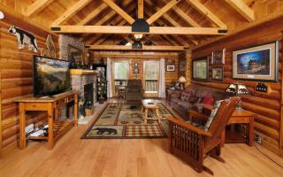 Dancing Bear - Relax in the hot tub among the trees! - 0