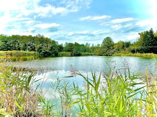 GastRoom Am Seefeld - Grafing - 7