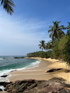 Into The Blue - Yoga included & walk to 3 beaches - Tangalle - 7