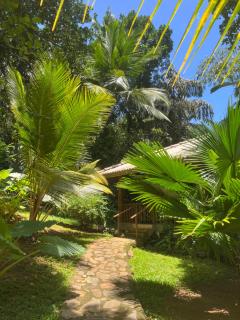 Into The Blue - Yoga included & walk to 3 beaches - Tangalle - 9