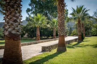 Leone Luxury Villas - Kalamaki - 9