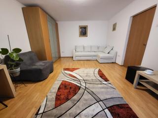 Large and comfortable studio Mall Vitan area - Bucharest - 5