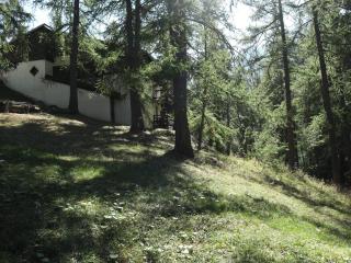Appartement familial, proche du centre et des pistes, avec terrasse en lisière de forêt - FR-1-322-322 - Les Orres - 3