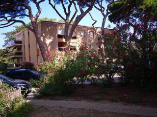 Appartement T2 Cabine avec Grande Terrasse, Proche Port, Plages et Commerces, Parking Inclus - FR-1-335-178 - Hyères - 0