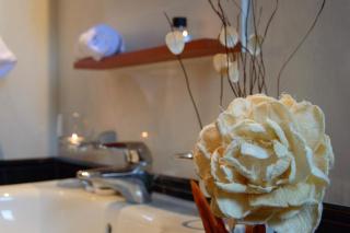 Leone Luxury Villas - Kalamaki - 4