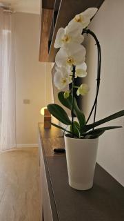 Jack apartment - Milan - 5