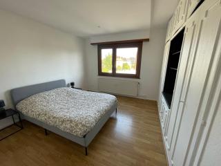 Appartement de 115m2 à 10 min de Strasbourg & 25 min d'Europa Park ! - Illkirch-Graffenstaden - 3