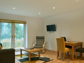 Swallows - Godstone - 0