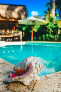 Hotel Enjoy - Las Terrenas - 8