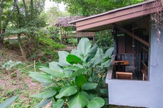 Shaya Resort - Pai - 6