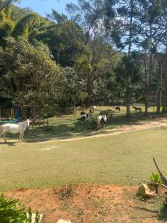 Cachoeira da Gomeira Hospedaria Camping - Passa Quatro - 8