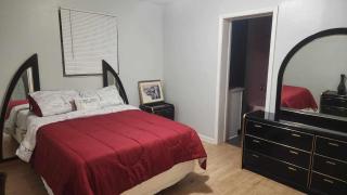 Cozy home with a backyard oasis! - Jacksonville - 5