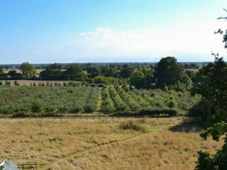 The Mill - The Mill House - Cottage - Ludham - 8