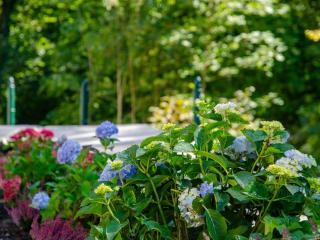 Ferienhaus am Wappach - 1