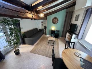 Studio cosy Hyper Centre Grenoble - Grenoble - 8