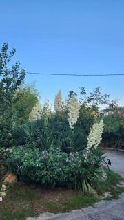 Location Bastia, U Fiumicellu. Vue Mer. Jacuzzi, Barbecue,... Pour 2 personnes - 3