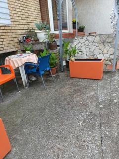 NEST - 1