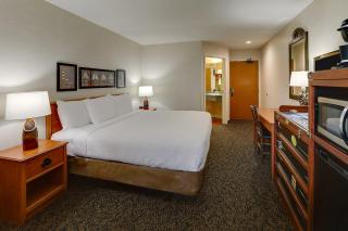 Stoney Creek Hotel Peoria - Peoria - 4