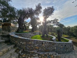 Villa Tramonto D'Oro - 4