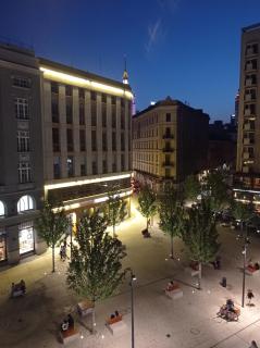 Prywatny pokój dla dwóch osób Pokój 2 - Varsovie - 7