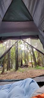 Cachoeira da Gomeira Hospedaria Camping - Passa Quatro - 3