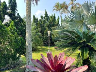 Casa de Praia a 150m da praia com Conforto Total Ar-Condicionado, Enxoval, Wi fi e Piscina Privativa - 4