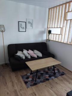 EVA Apartment Siauliai - Šiauliai - 7
