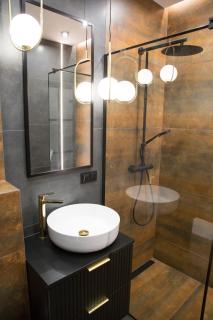 Apartament POSEJDON Gliwice - 1