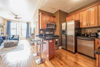 Lovely 2 Bed 3 Miles from DT w Free Parking - Chicago - 6