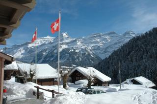 Historic Hotel du Pillon - Les Diablerets - 6