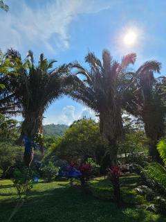 Lagoon Village B&B y SPA - Tarapoto - 2
