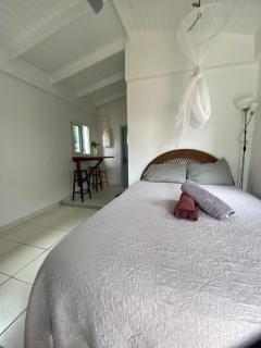Akunamatata Guest House Grand Case - Grand Case - 7