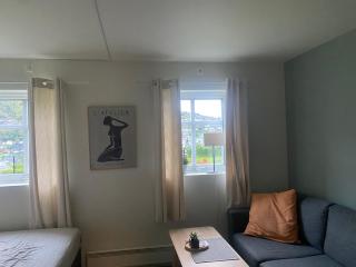 Nyoppusset leilighet - Sogndal - 3