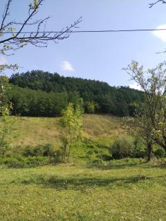 Vikendica Sibnica - Blace - 6