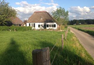 Bed and Breakfast de Bosakker - Deventer - 3