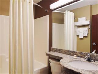 Microtel Inn & Suites by Wyndham Macon - Macon - 2
