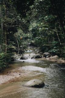 The Estate Hulu Rening - Private Retreat Cabin - Batang Kali - 5